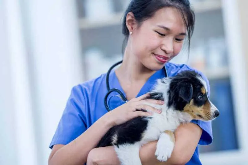 citopatologia veterinária