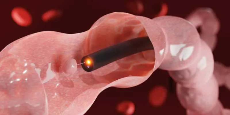 endoscopia veterinária